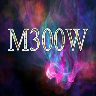 M300 w