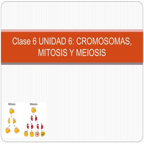 M6- CROMOSOMAS, MITOSIS Y MEIOSIS- Material complementario