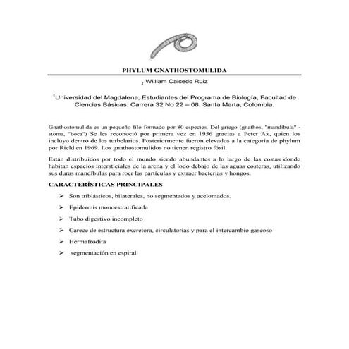 Resumen   gnathostomulida