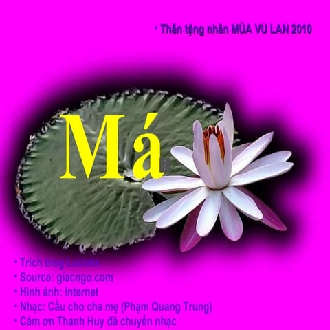 BO CUA XI MONG | PPTX