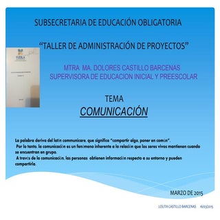 Ma. dolores castillo barcenas