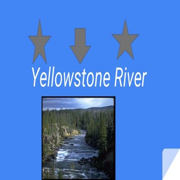 Manuel's Yellowstone River