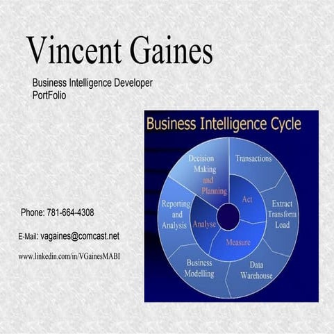 Business Intelligence Dev. Portfolio