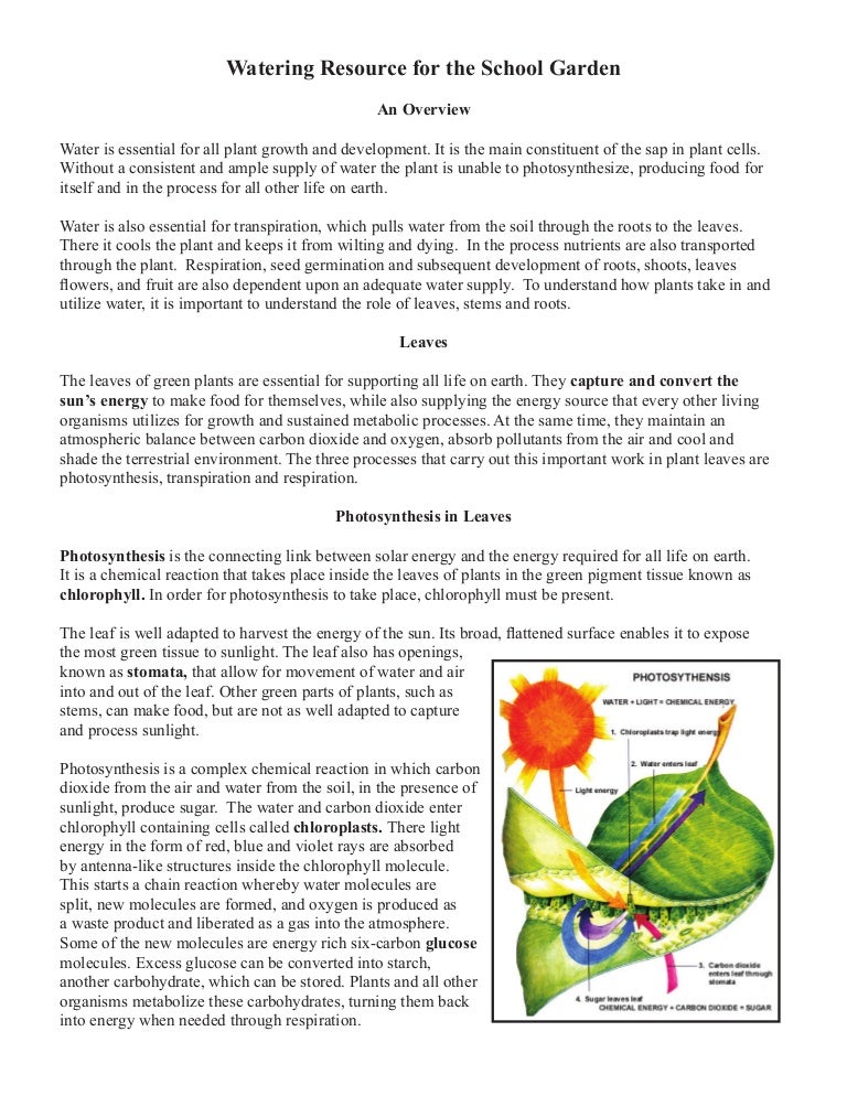 Watering Resource for the School Garden