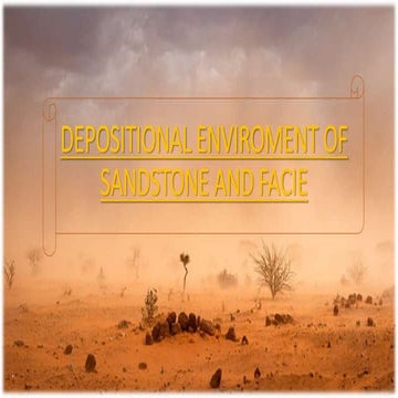 Depositional environment of sandstone and facie