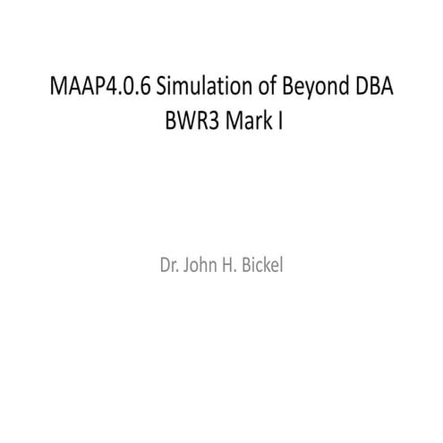 MAAP4.0.6 Simulation of Beyond DBA  BWR3 Mark I  rev03