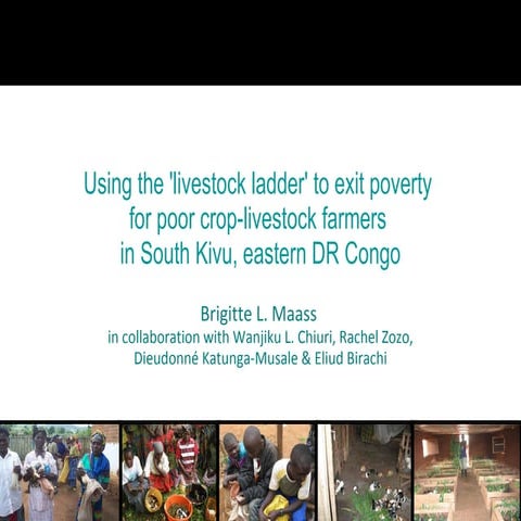 Maass - Using the 'livestock ladder' to exit poverty 