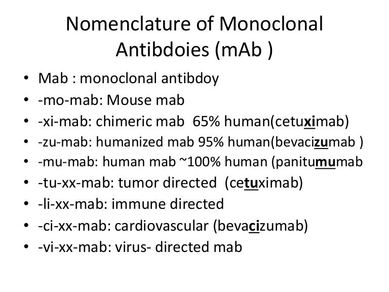 nomenclature of monoclonal antibodies