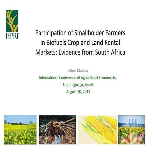 Participation of Smallholder Farmers in Biofuels Crop and Land Rental Markets...