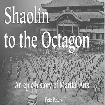 Mab project v026   n va-pb