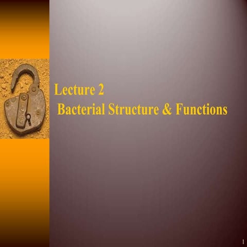 Understanding of the Bacterial Structure.ppt