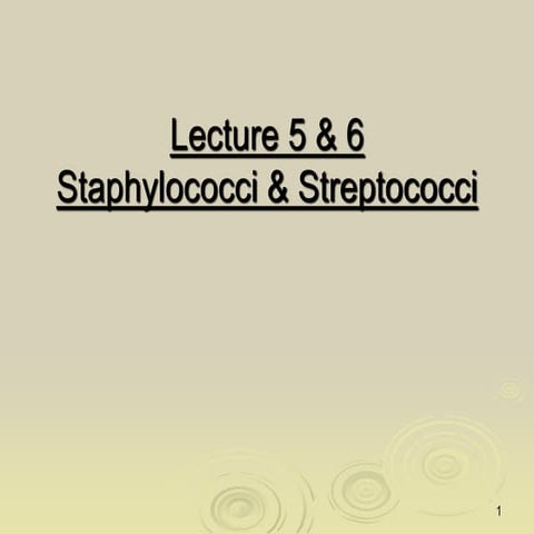 Staphylococci and Streptococci organisms.ppt