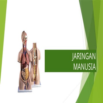 Pengenalan Dasar macam macam jaringan tubuh manusia