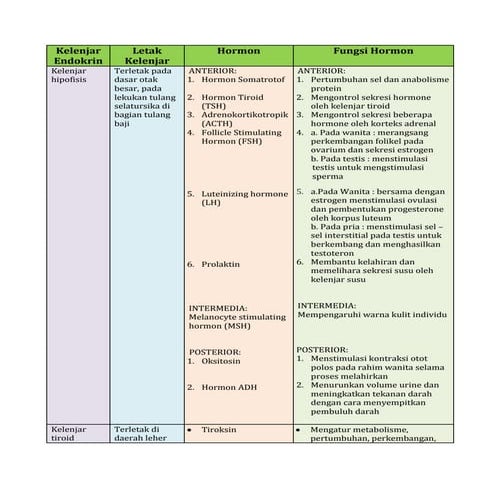 Apa Itu Hormon Dan Contohnya Apa Itu Hormon Dan Contohnya