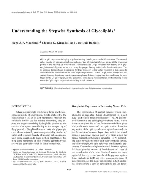 maccioni2002.pdf