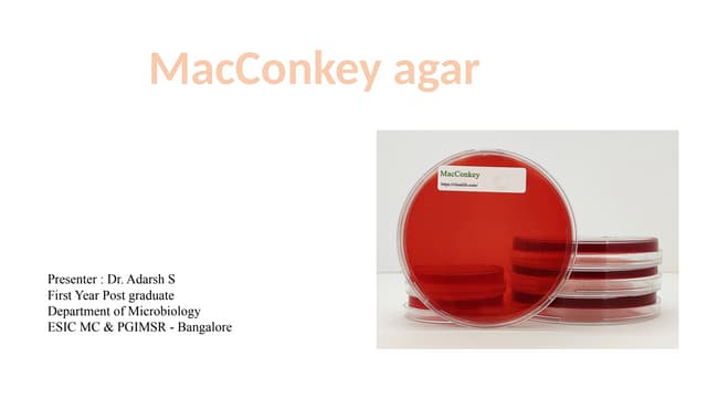 MacConkey Agar: Composition, Principle, Uses & Modifications – A Complete Mic...
