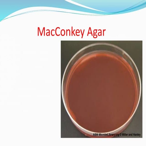 Mac conkey agar presentation