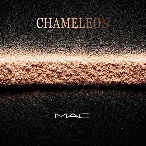 MAC Cosmetics - Business Plan