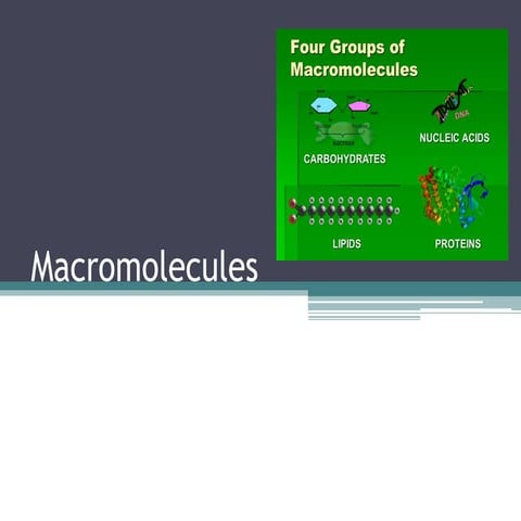 Chemistry of life macromolecules.pptx.pdf