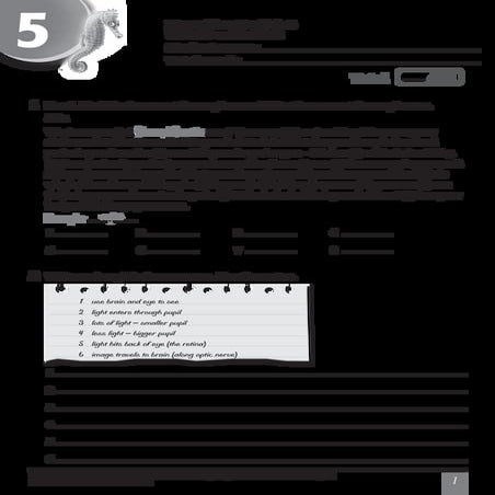 Mac digital ws_l5_u18