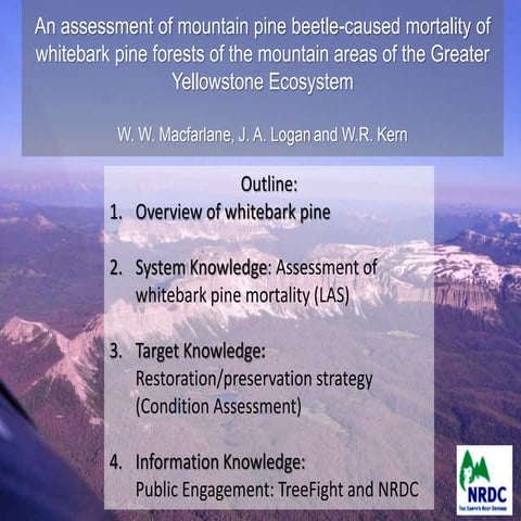 Ghost forests global warming and the mountain pine beetle | PDF