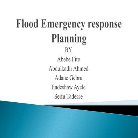 Rapid Damage Assessment and Needs Analysis Report.pptx