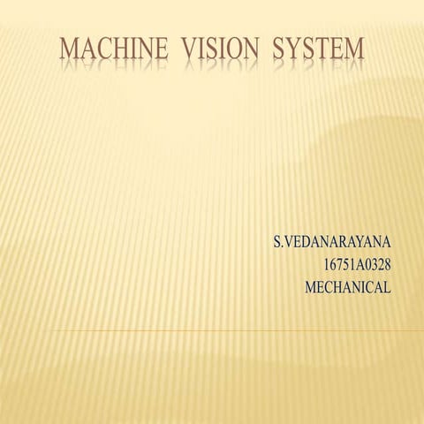 Machine Vision System