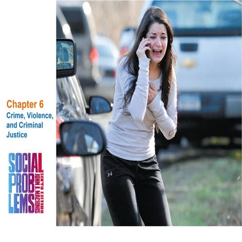 Crime, Violence, and Criminal  Justice