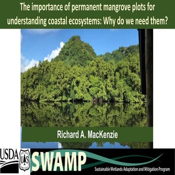 The importance of permanent mangrove plots for understanding coastal ecosyste...