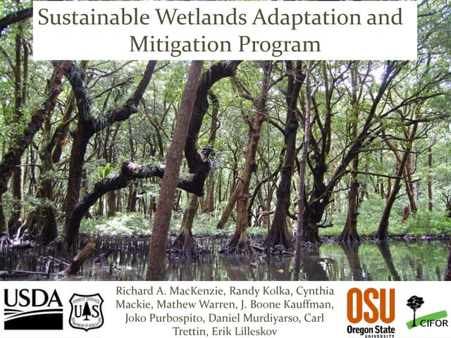 thumbnail of  Sustainable Wetlands Adaptation and  Mitigation Program