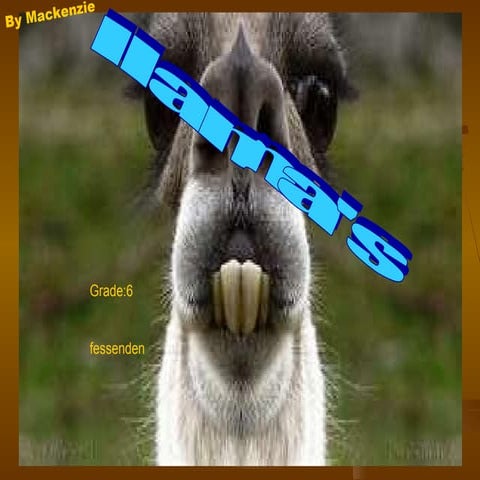 Mackenzie lopes kenzie llama 2
