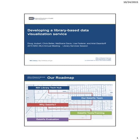 Developing a library-based data visualization service
