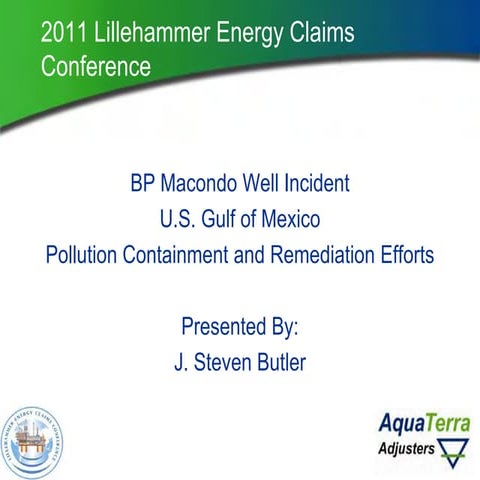 BP Macondo Well Incident in U.S. Gulf of Mexico, Pollution Containment and Re...