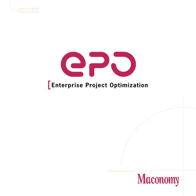 Maconomy Enterprise Project Optimization (anno 1999)