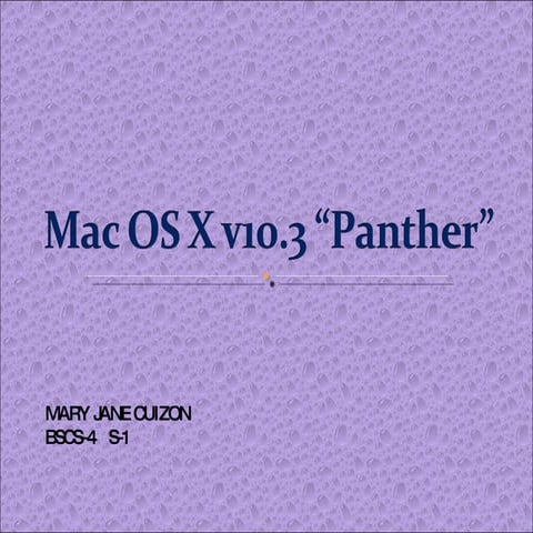 Mac  O S  X V10