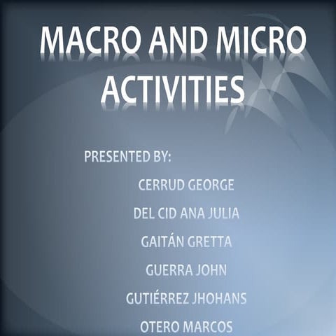 Macro and micro activities
