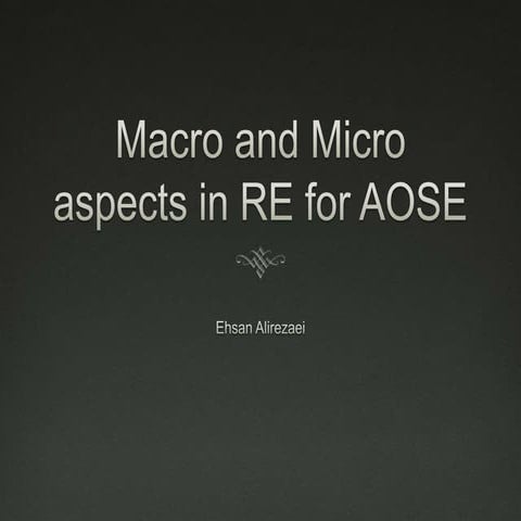 Macro and micro aspects in RE for AOSE