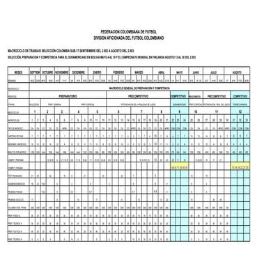 Macrociclo de trabajo