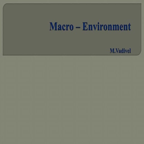 Macro Environment.pptx