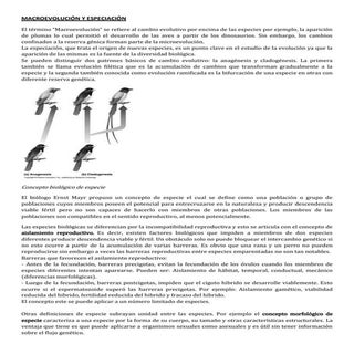 Macroevolución y especiación