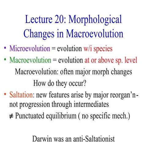 Lecture 20: Morphological Changes in Macroevolution