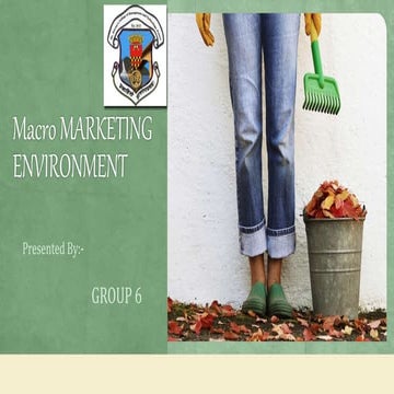 Macro marketing environment  