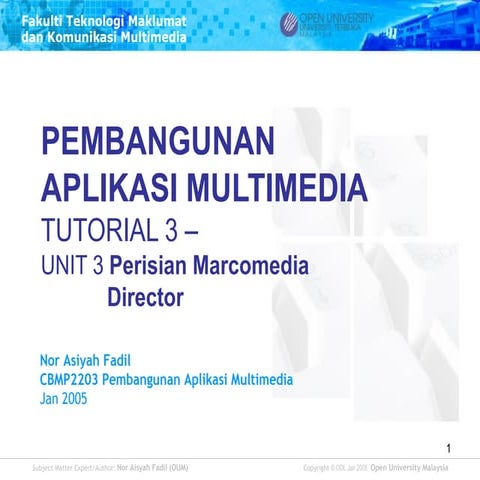 Macromedia director