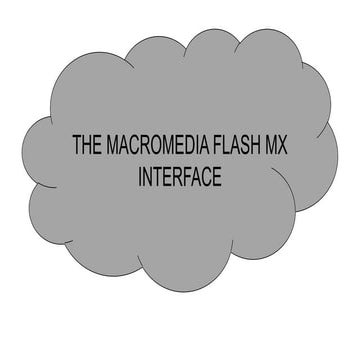 macromedia interface report.pptx reports