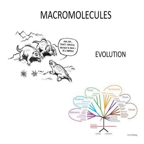 Embryological and physiological evidences of evolution | PPTX