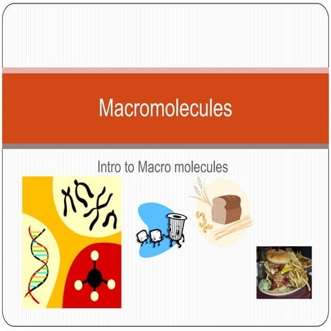 Macromolecule intro
