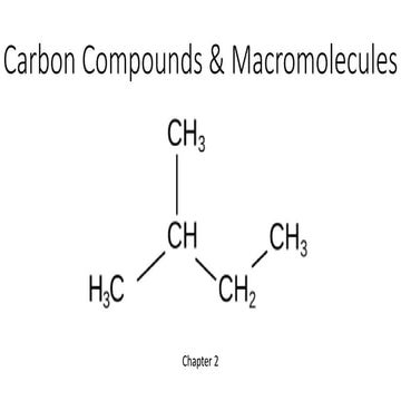 Macromolecules