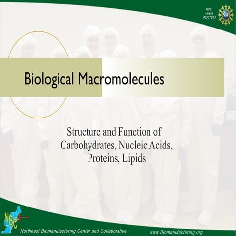 Macromolecules(1)