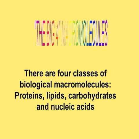 Macromolecule characteristics