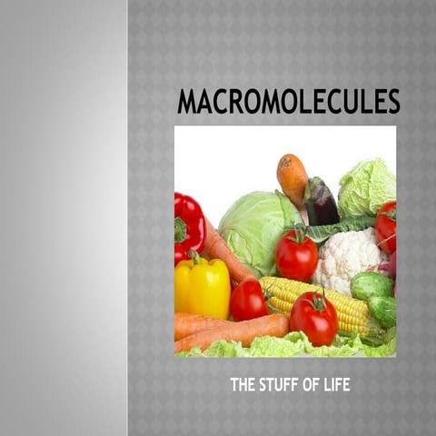 Macromolecules PPT for high school students